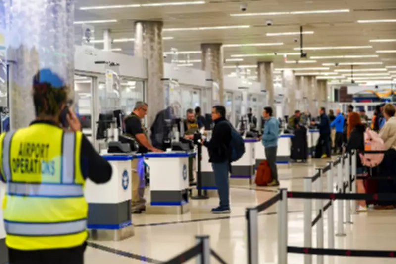 Trump Team Plans to Halt International Flights to Sanctuary Cities