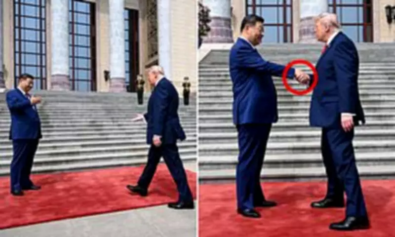 Trump's Secret Handshake Code with Xi Revealed by Body Language Expert
