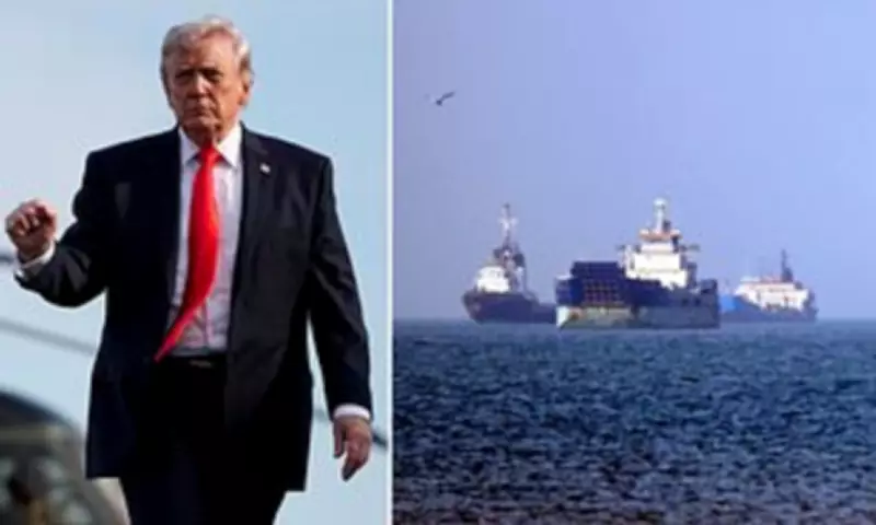 Trump's Strait of Hormuz gamble: Can Operation Freedom succeed?