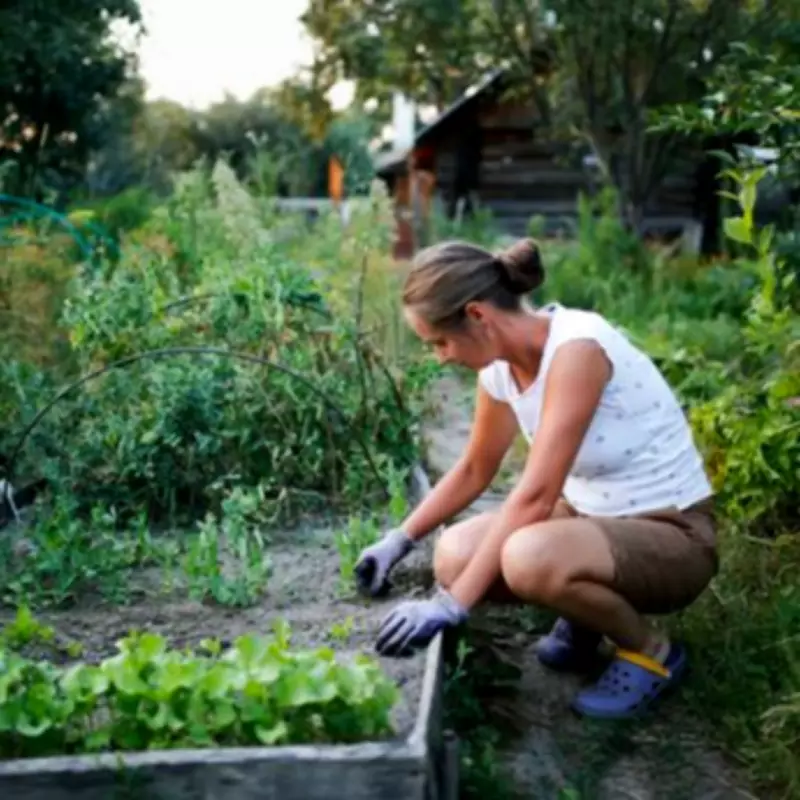 TV Gardener's '70/30 Rule' for a Perfect Summer Garden
