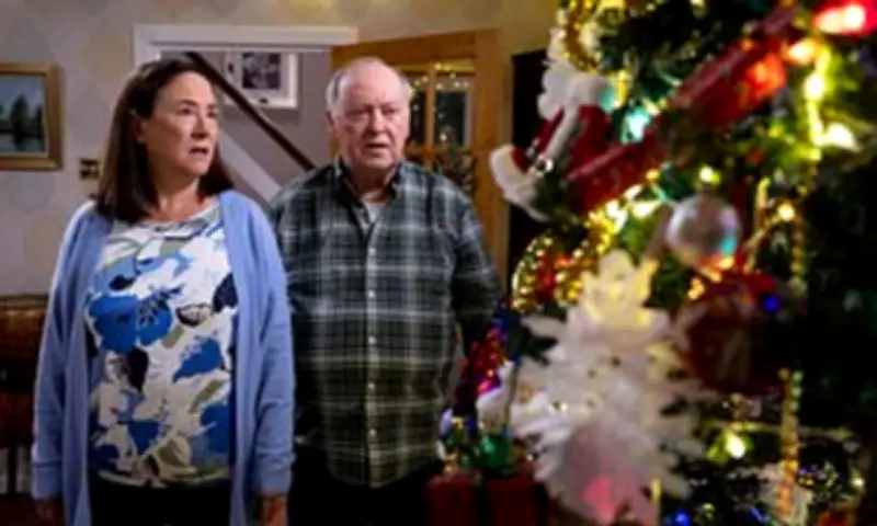 Two Doors Down Returns for Eighth Series After Co-Creator's Death