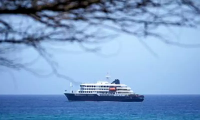 Two Texans on Hantavirus Cruise Ship Return Before Outbreak Identified