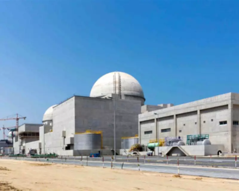 UAE Accuses Iran or Proxies of Drone Strike Near Nuclear Plant