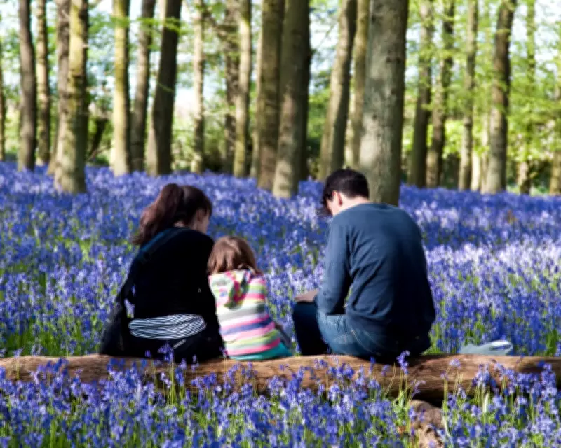 UK Adults Urged to 'Rewild Their Inner Child' as Nature Time Drops