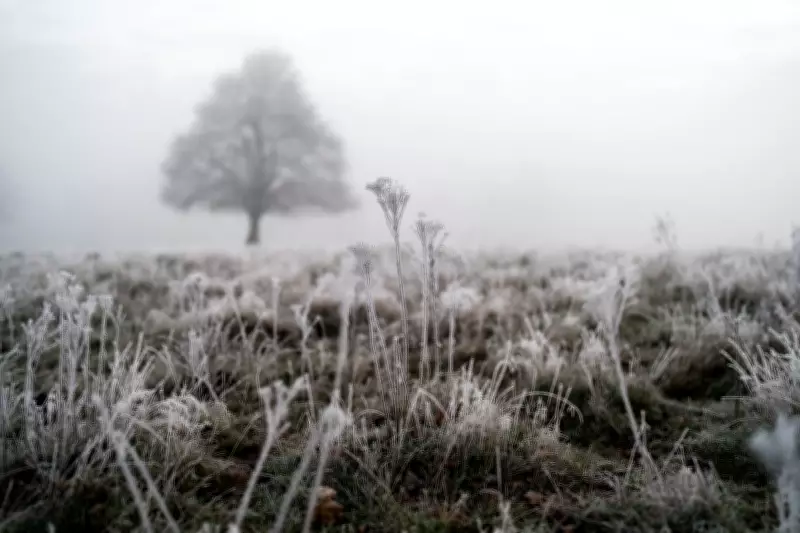 UK Braces for Arctic Blast: Temperatures to Plunge to -5C This Week
