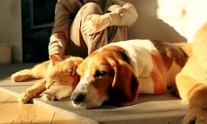 UK Dog Owners Urged to Learn Pet CPR as Heatwave Sparks Cardiac Arrest Risk