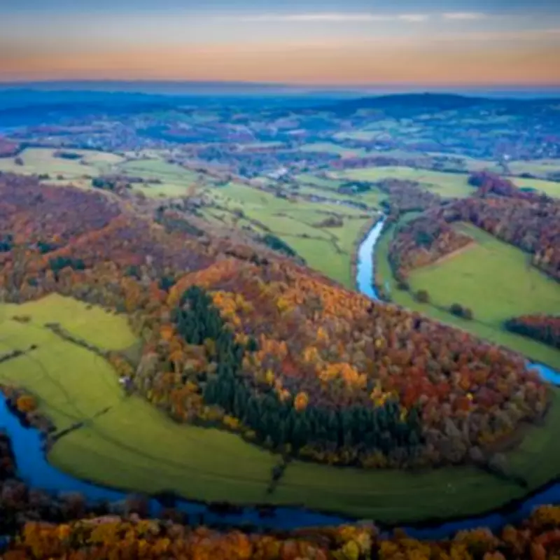 UK Forest Named One of Best Places in the World with Ancient Hill Fort