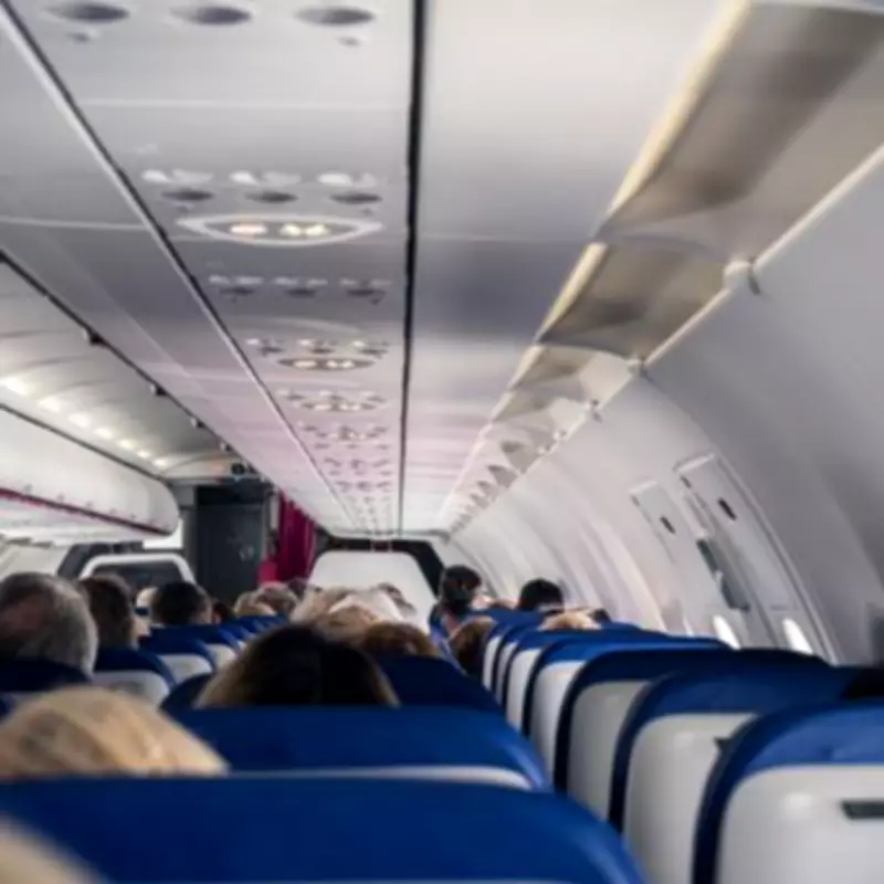 UK Government Responds to Petition for In-Cabin Pet Travel on Airlines