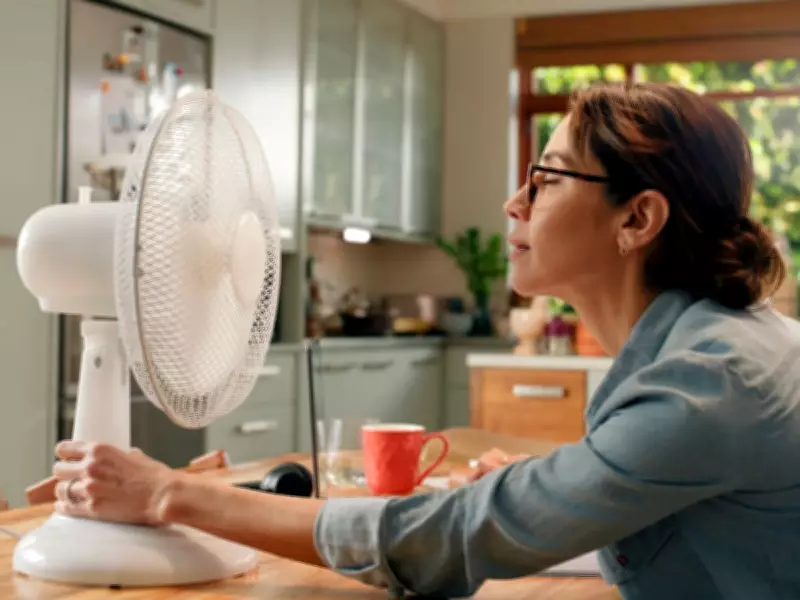 UK Government Warns Against Using Electric Fans Incorrectly in Heatwave