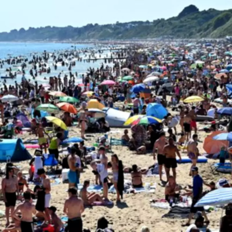 UK Heatwave Warning for Antidepressant Users: Sertraline, Fluoxetine, Amitriptyline Risks