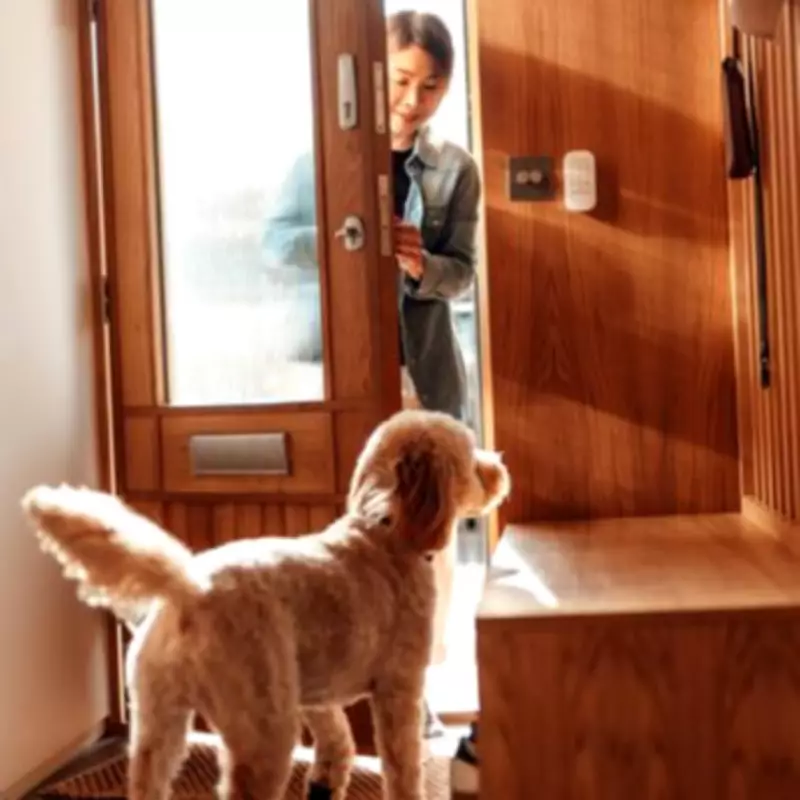 UK Pet Laws: How Long Can You Leave Your Cat or Dog Home Alone?
