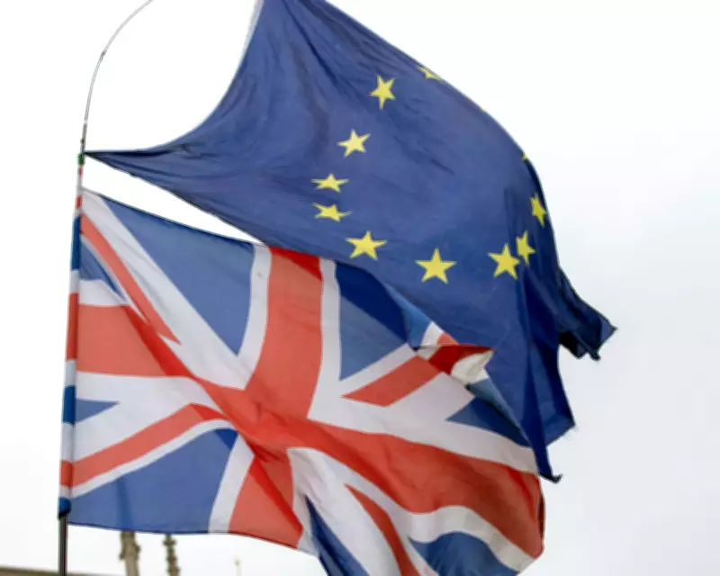 UK Pitched Single Market for Goods to EU, But Idea Was Rejected