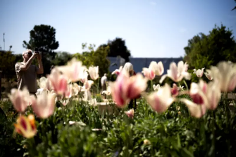 UK Temperatures Could Reach Mid-20s by Late May Bank Holiday