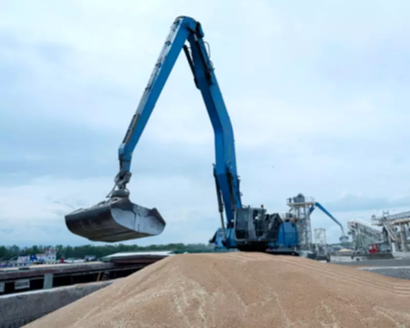 Ukraine Claims Victory Over 'Shadow Grain Fleet' Shipment to Israel