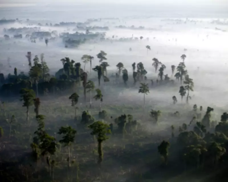 UK's Darwin Initiative Slashed: 89 Countries Lose Biodiversity Funding