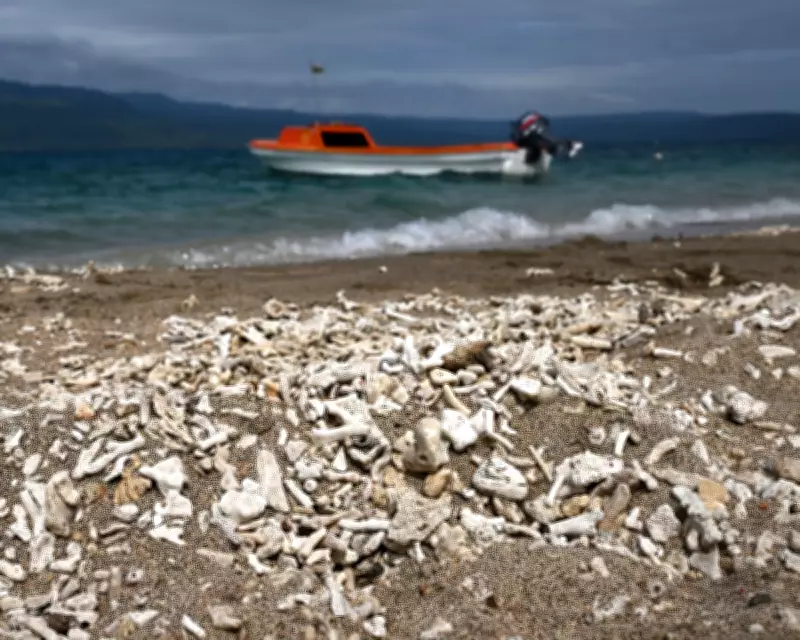 UN Climate Resolution Shows Growing Political Momentum, Experts Say