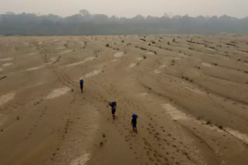 UN Warns Next Five Years Will Shatter Global Temperature Records