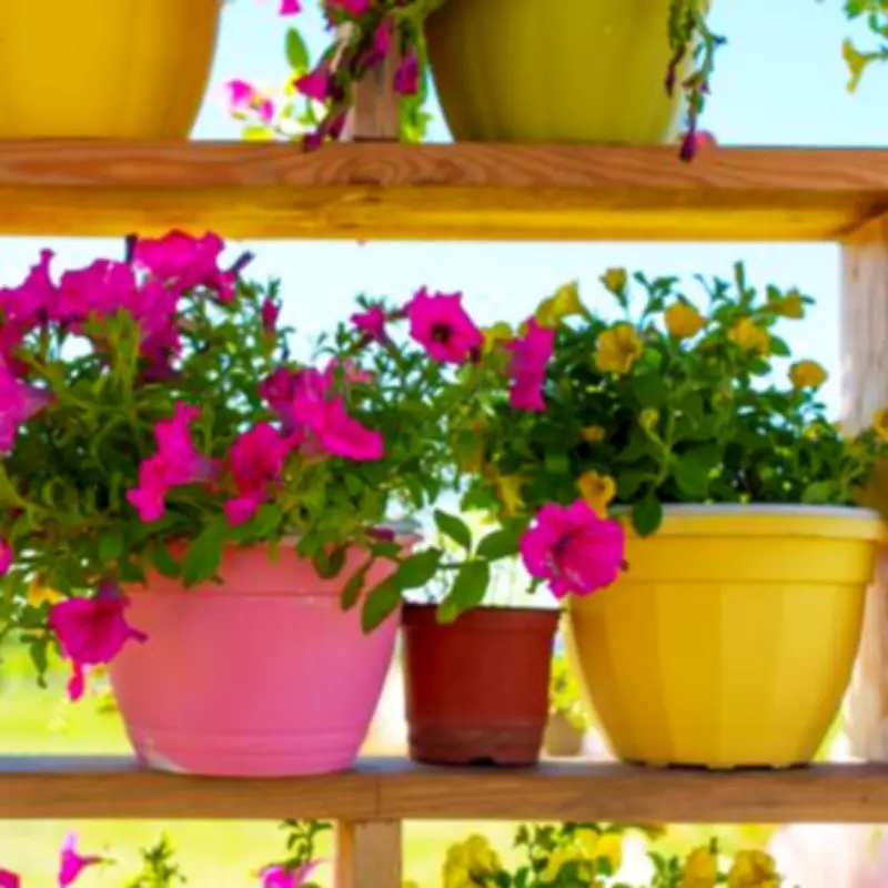 Under £20 Garden Hack to Attract Bees with Bright Colors