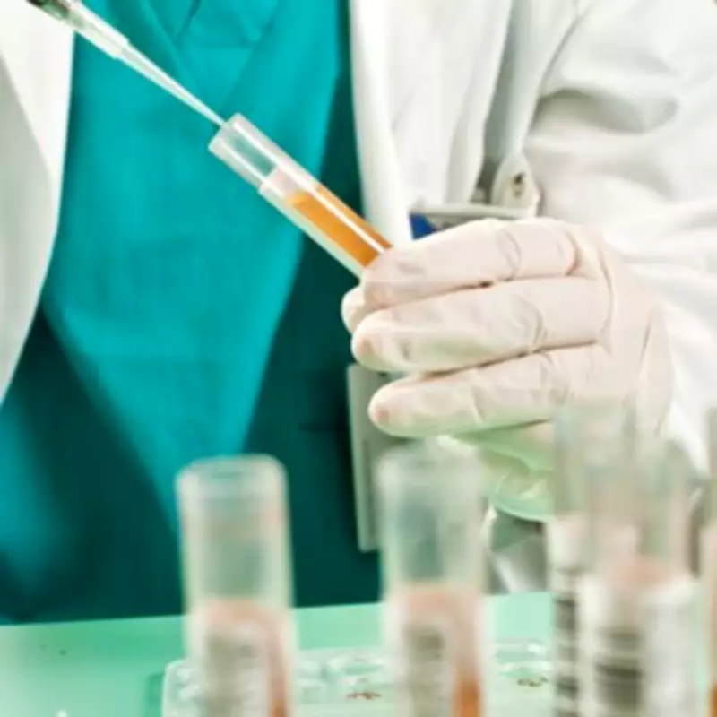 Urine test for 'zombie cells' could predict lung cancer within five years