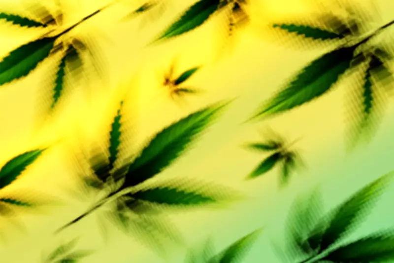 US Hemp Ban Threatens CBD Products and Medicare Reimbursement Plan