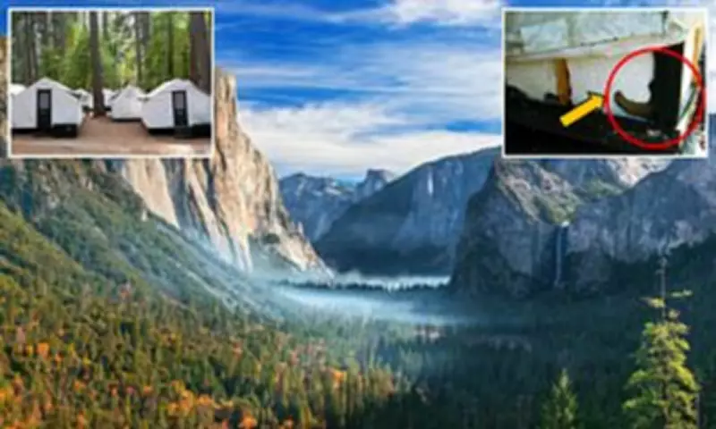 US Monitors 41 for Hantavirus After Cruise Outbreak, Recalls 2012 Yosemite Scare