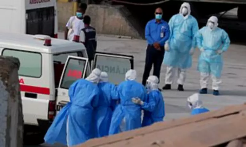 US Monitors Hantavirus Exposure After Cruise Ship Outbreak