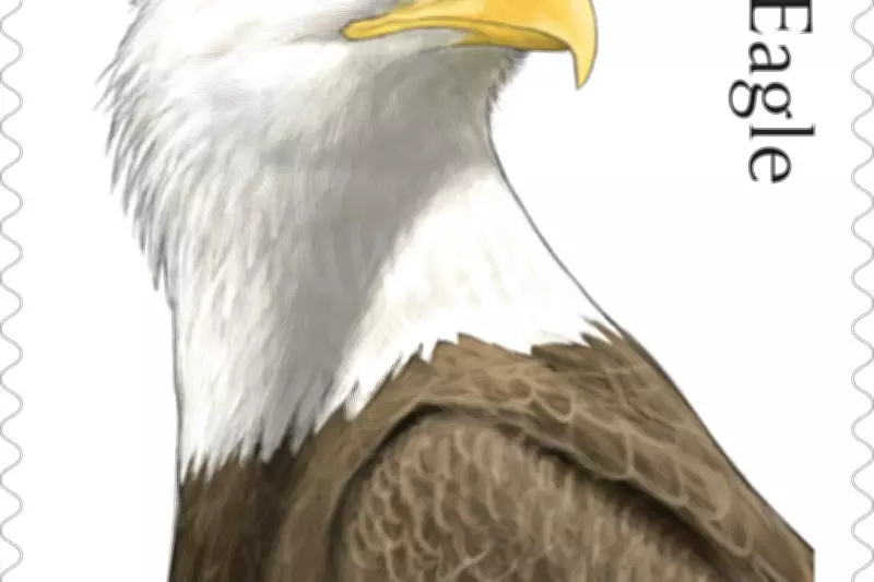US Postal Service Unveils Bald Eagle Stamps for America's 250th
