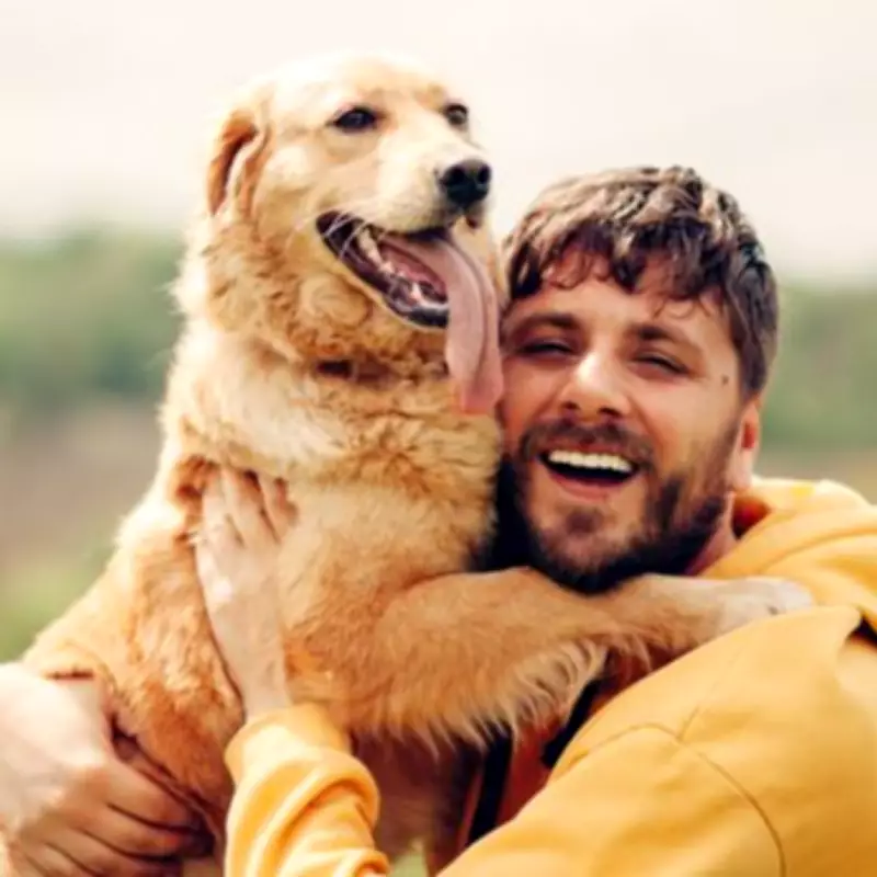 Vet Reveals Top 10 Dog Breeds She'd Recommend Based on Temperament