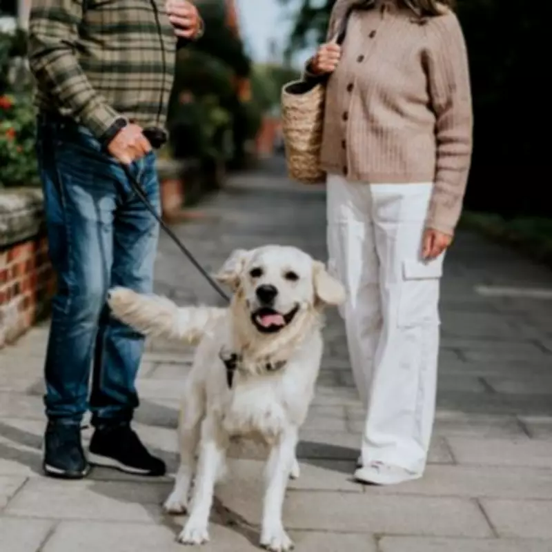 Vet Reveals Top 4 Dog Breeds She Recommends for Owners