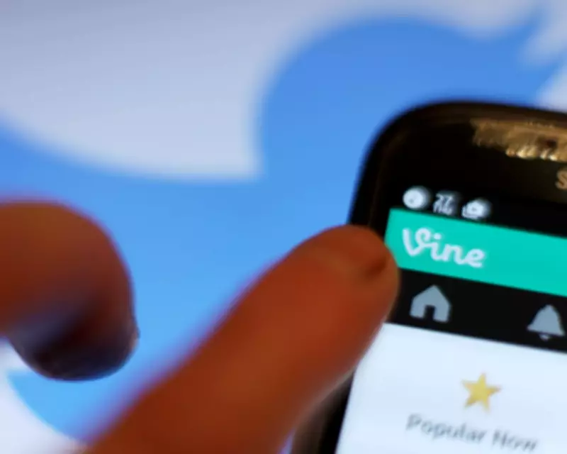Vine Returns to Battle AI-Generated Slop with Human Creativity