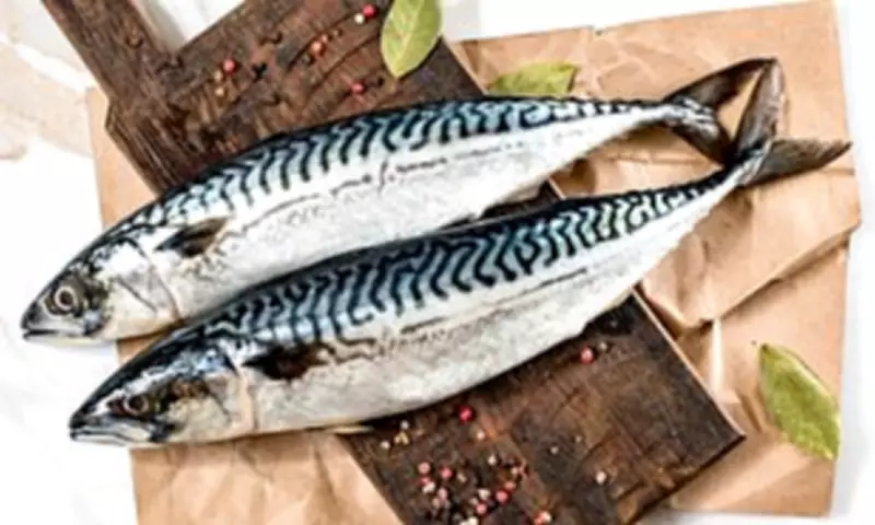 Waitrose Halts Mackerel Sales Over Overfishing Concerns