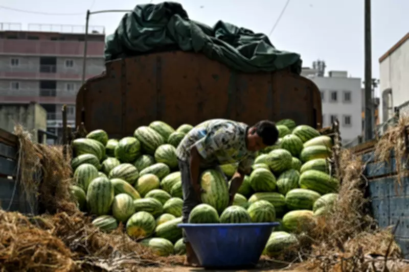 Watermelon Sales Crash After Mysterious Deaths of Family of Four in Mumbai