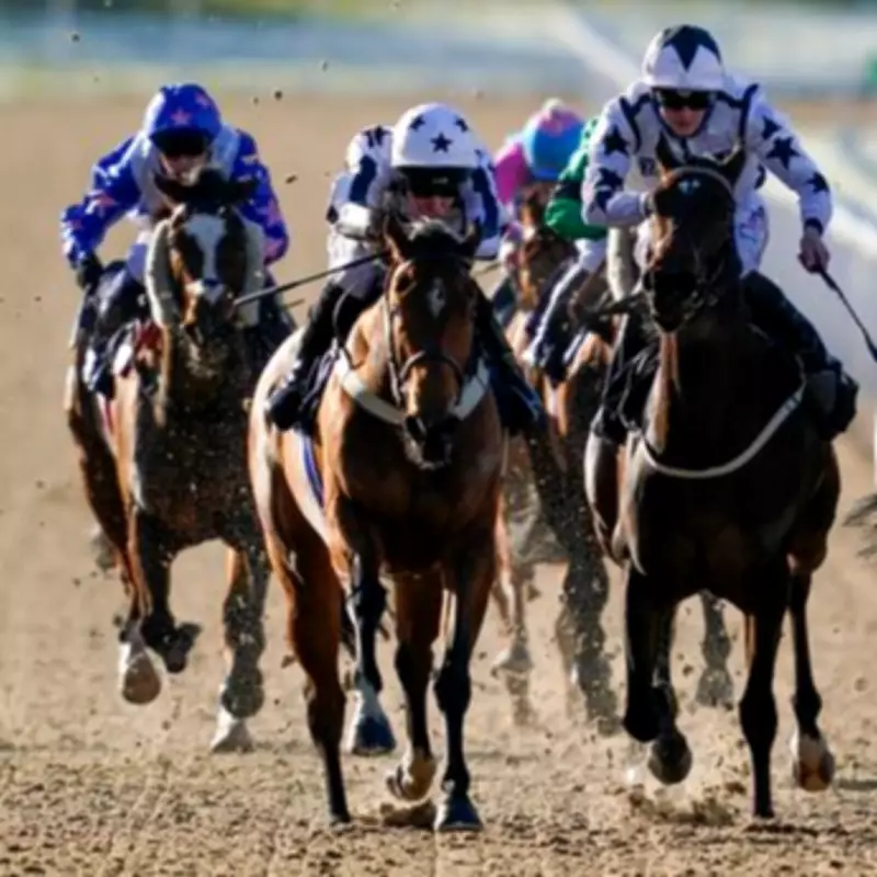 Wave Rock and Huckleberry Sting Highlight Newsboy's Monday Selections