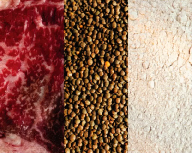 Weighing the Pros and Cons of Popular Protein Sources