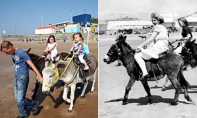 Welsh Beach Bans Donkey Rides After Century-Old Tradition Ends