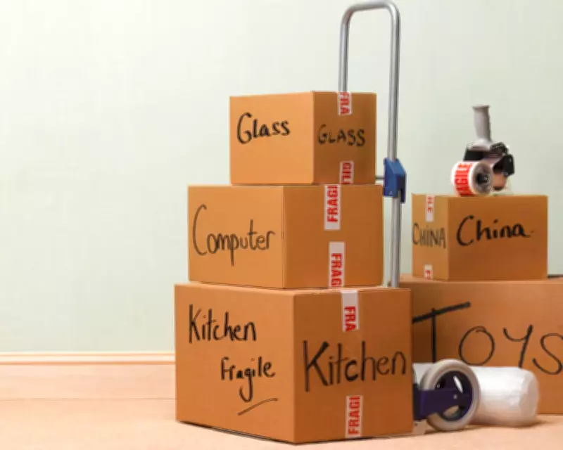 What Makes a Place a Home? A Cat's Journey and a Family's Move