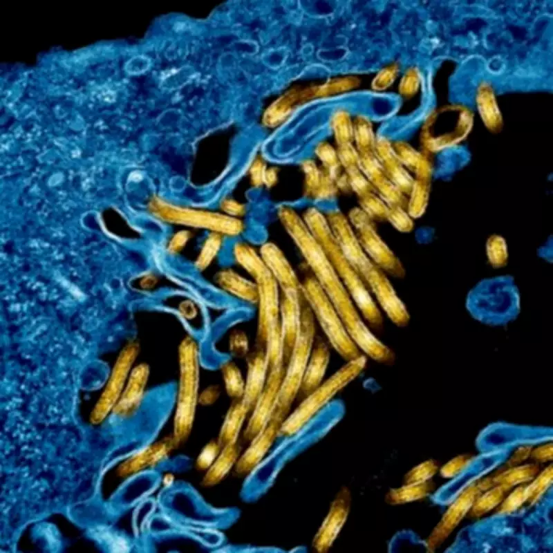 WHO Admits Ebola Outbreak Began Months Before Detection After US Criticism