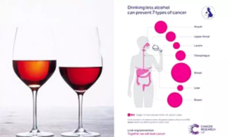 WHO Study Links Alcohol to Over 60 Diseases, Warns of Major Health Risks