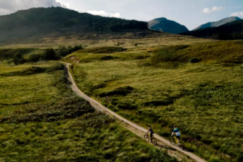 Why Cycling Is Four Times More Energy-Efficient Than Walking