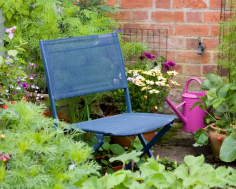 Why I've Decided to Enjoy My Rented Garden After Years of Neglect