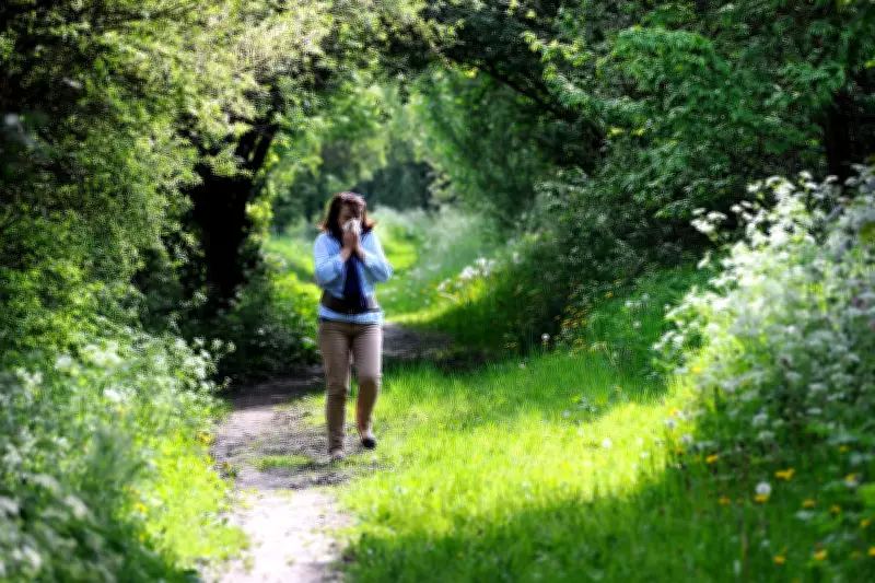 Why Pollen Season Is Brutal This Year: Allergist Tips to Avoid Symptoms
