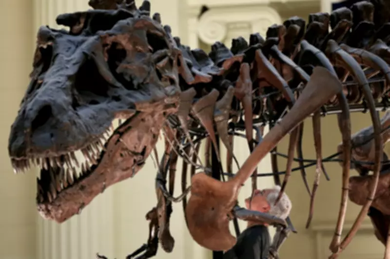 Why T. rex Evolved Tiny Arms and a Bone-Crushing Skull