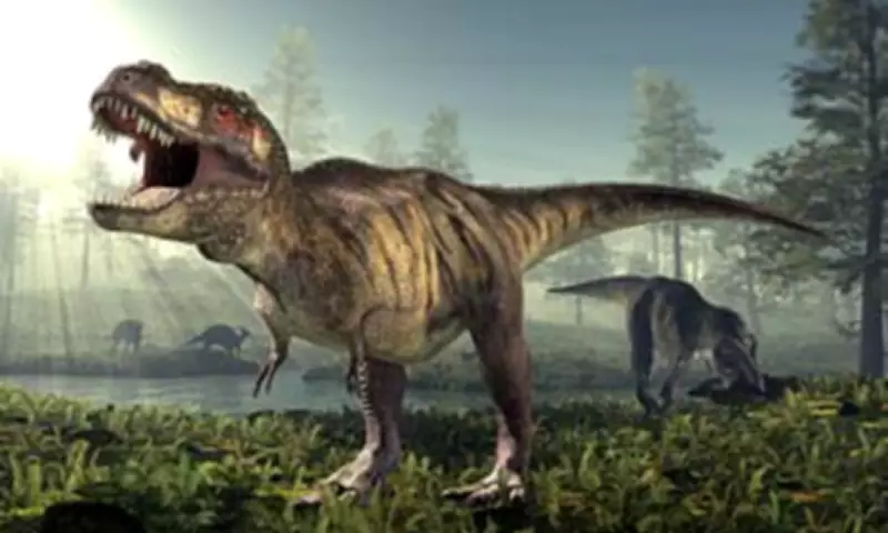 Why T. rex Had Tiny Arms: UCL Scientists Finally Solve Dinosaur Mystery