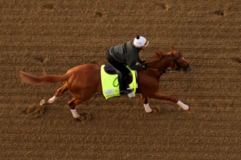 Wide-Open Kentucky Derby Leaves Experts Scrambling for Favorite
