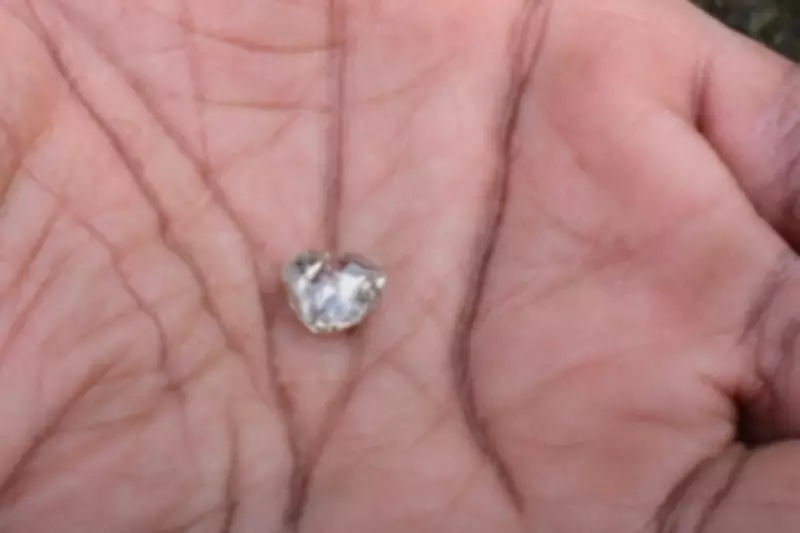 Woman grieving son and father finds 3.09 carat diamond at Arkansas park