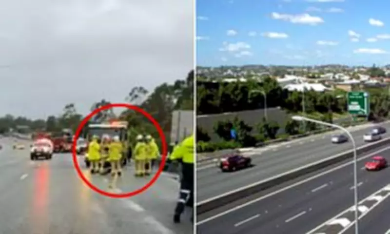 Woman Killed by Ute on Pacific Motorway After Minor Crash