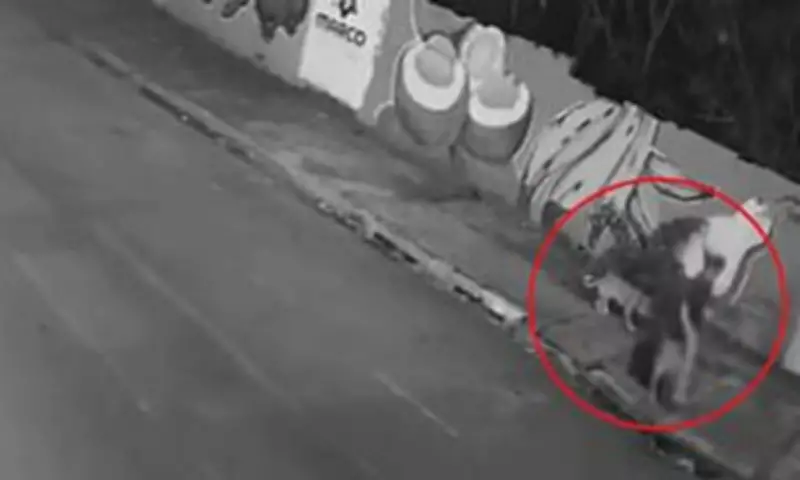 Woman Plunges into Manhole While Walking Dog in Brazil