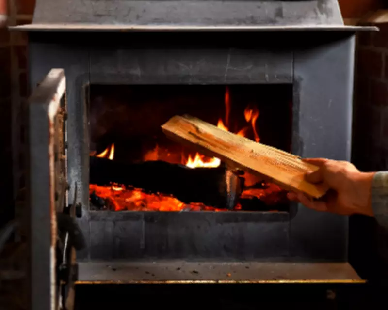 Wood Burning Reintroduces Lead Pollution into the Air, US Scientists Find