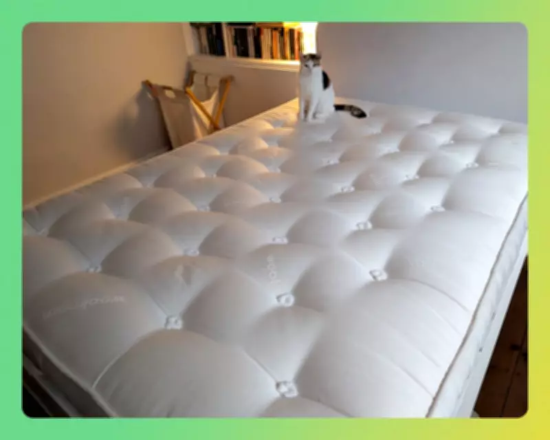 Wool Mattress Review: Five Months In, I'm Converted to Better Sleep