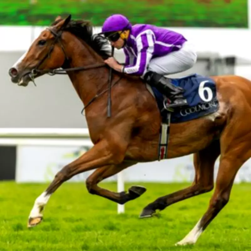 World Champion Filly Minnie Hauk Wins on Return, Bound for Royal Ascot